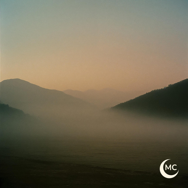 Pure Stillness Meditation (Forest Sound) cover art